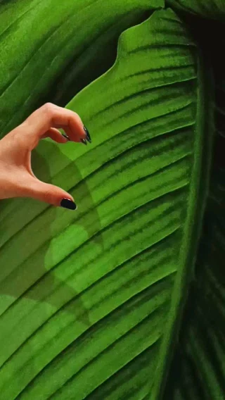 Instagram post from nos_somos_amarelo. This post is in position 1.